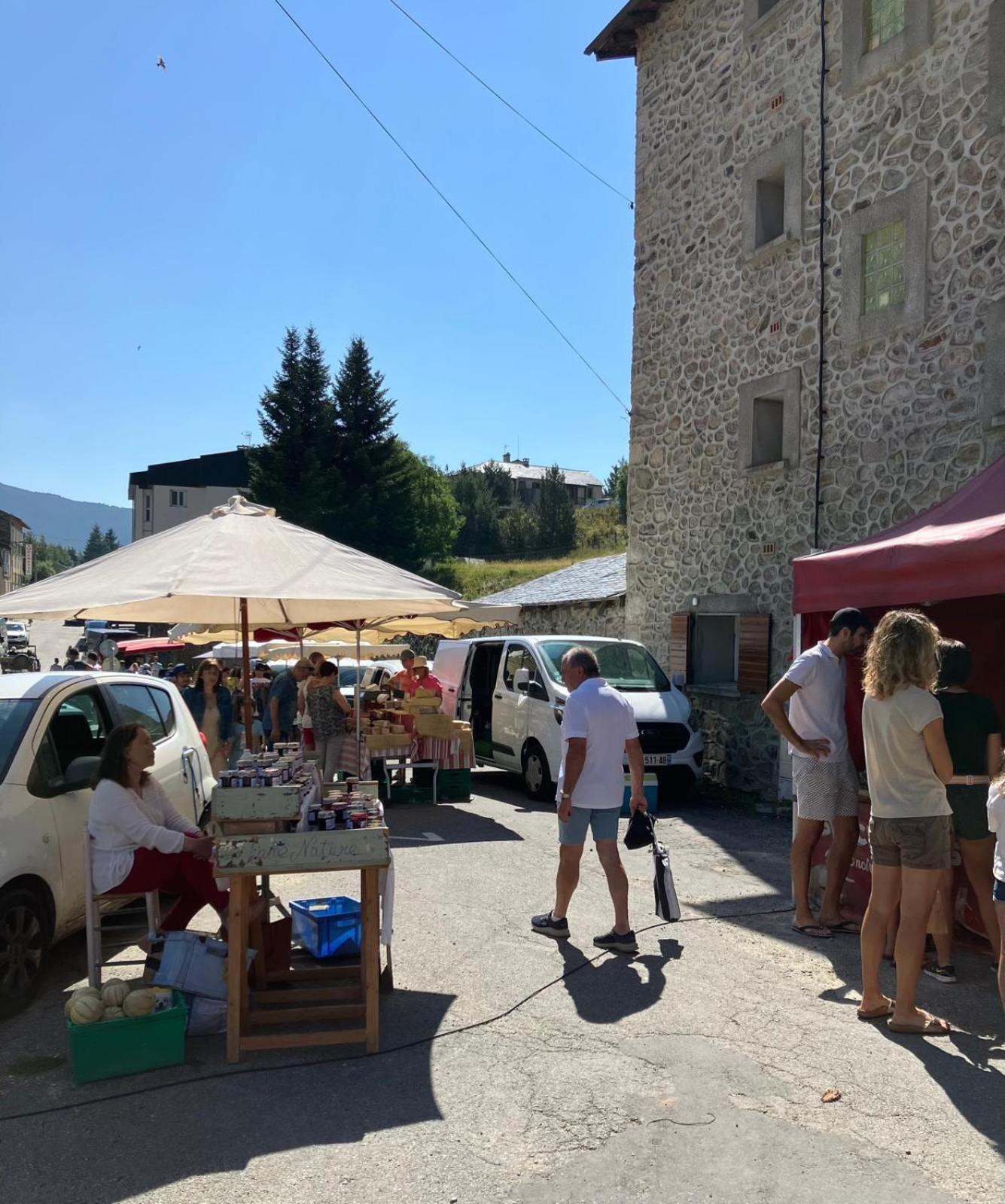 La Grange T2 Centre Ville Jardin Wifi Formiguères Екстериор снимка
